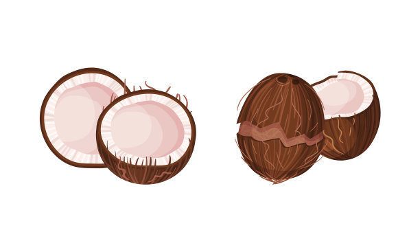 有硬壳和纤维壳的一半椰子图片下载