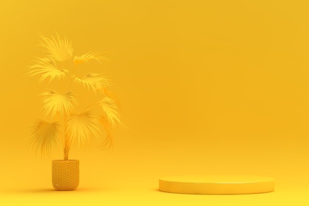 空的展台用于展示产品和盆栽植物图片下载