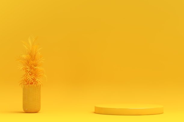 空的展台用于展示产品和盆栽植物图片下载