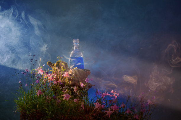 魔法森林里的一瓶魔法药水图片下载