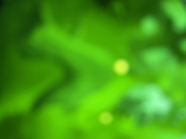 一个模糊的图像与绿色，黄色和黑色的效果作为背景。图片下载