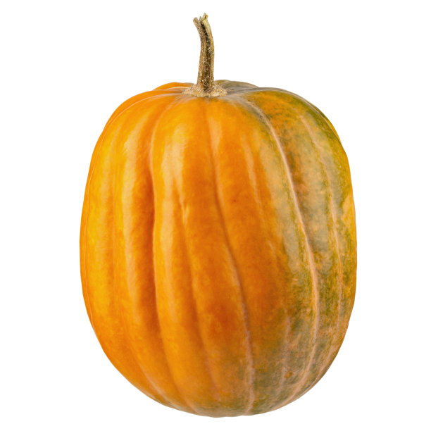 新鲜橙色南瓜孤立在白色背景。文件包含剪辑路径。图片下载