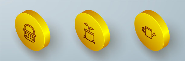 设置等距线柳条篮植物在花盆和图片下载