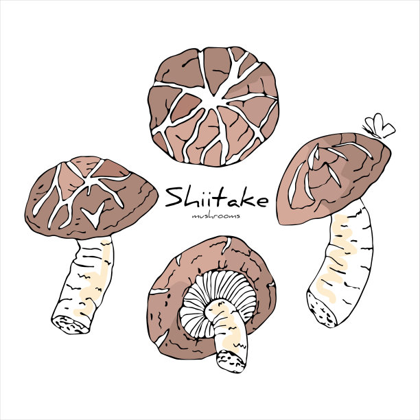 配上香菇图片下载