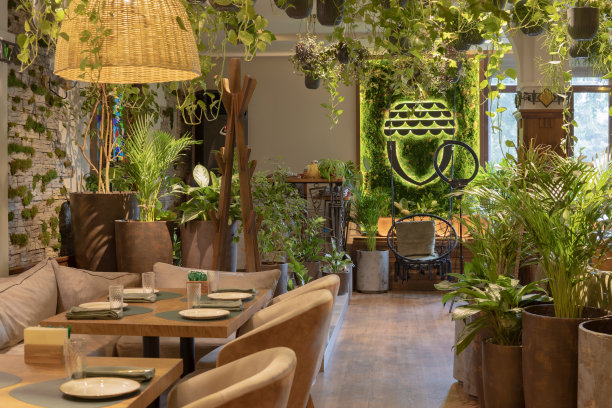 木制的现代餐厅空区野餐木制桌子，椅子，长凳，绿色植物。图片下载