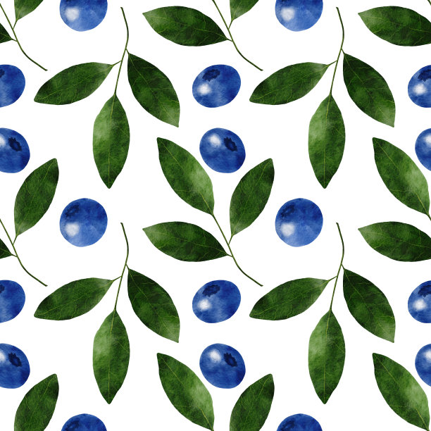无缝图案水彩野生浆果。图片下载