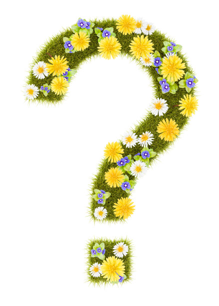 花草问号形状孤立图片下载