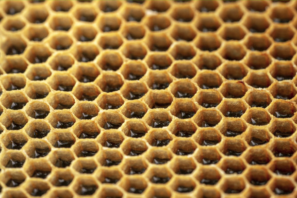 蜂窝的结构。蜂蜜细胞，闭合。自然的模式。图片下载