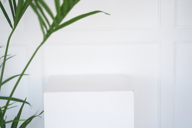 白色背景上有棕榈叶的白色讲台是一个产品展示展台的模型。最小的概念。图片下载