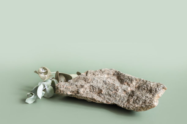 天然的灰色石材展台上的展示和展览，柔和的绿色背景。摘要讲台为有机化妆品用绿叶。最小的风格。有选择性的重点图片下载