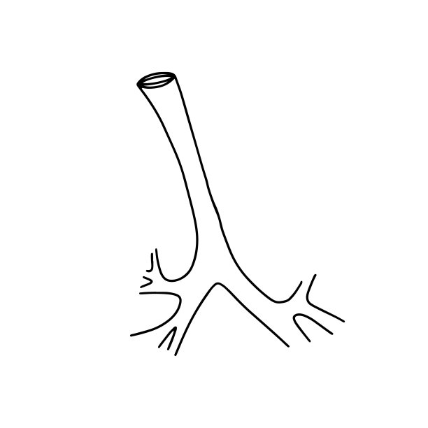 人类声音的褶皱。图片下载