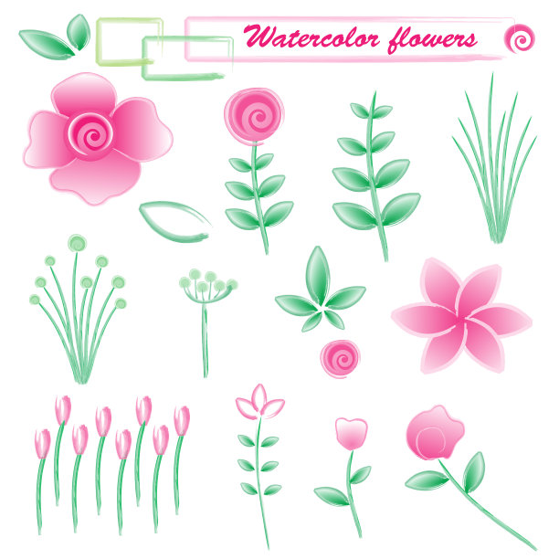 水彩花在白色的背景图片下载