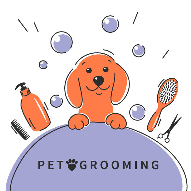 梳理24图片下载