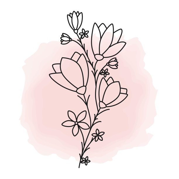 花。线性模式。有花瓣的开花枝。图片下载