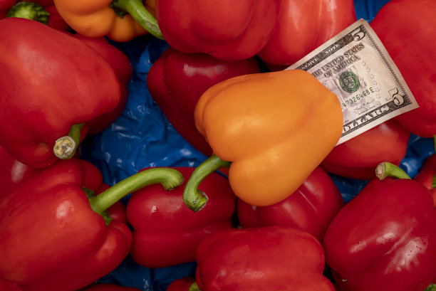 辣椒的钱图片下载