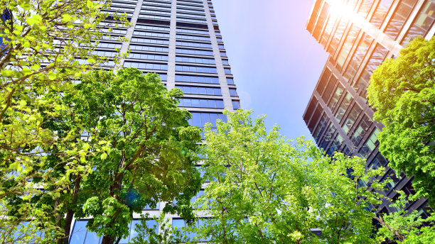 清新的绿树和办公大楼，图片下载