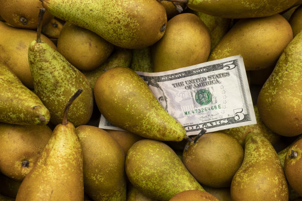 梨的钱图片下载