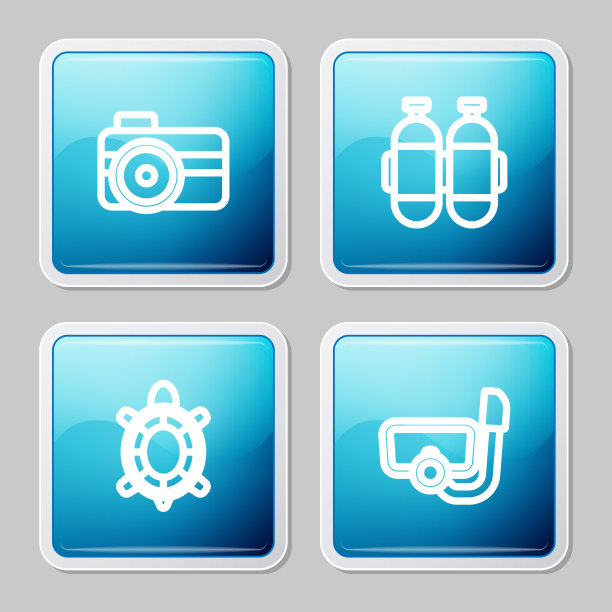 为潜水甲鱼设置线摄影相机图片下载