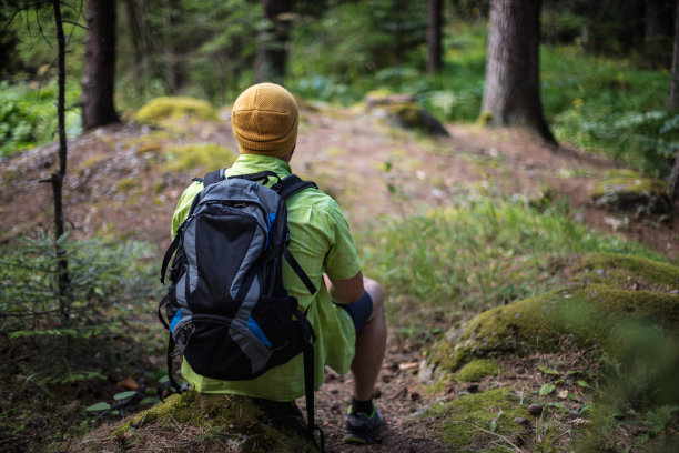 一个男性徒步旅行者的后视图与背包坐在一块巨石在松树林图片下载