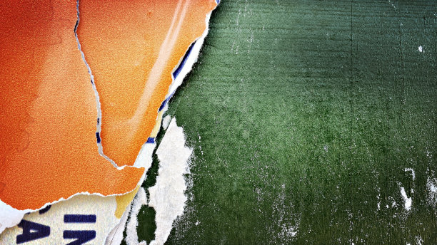 绿色胶合板墙与撕裂小麦贴海报图片下载