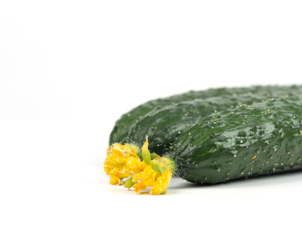 青豆孤立在白色背景图片下载