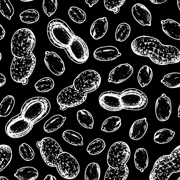 花生无缝模式。花生坚果手绘草图。坚果矢量插图。有机健康食品。非常适合包装设计。雕刻风格。黑色和白色。图片下载