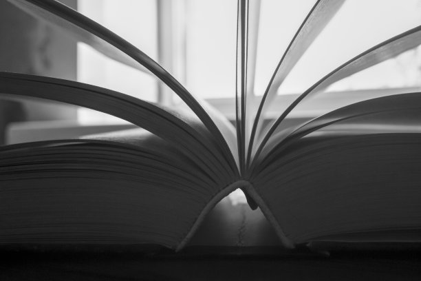 打开书。这本书的一个结束语是照片中的颗粒感。翻开书的黑白照片。《逆光之书》。图片下载