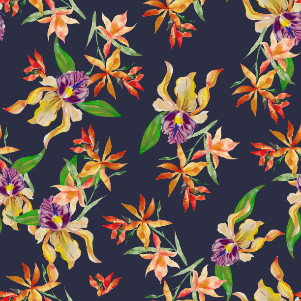 热带印图片下载