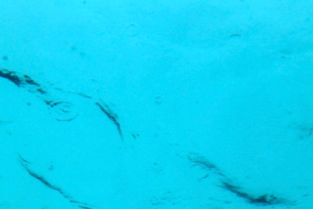 抽象图像处理明亮的蓝色水下查找照片插图。图片下载