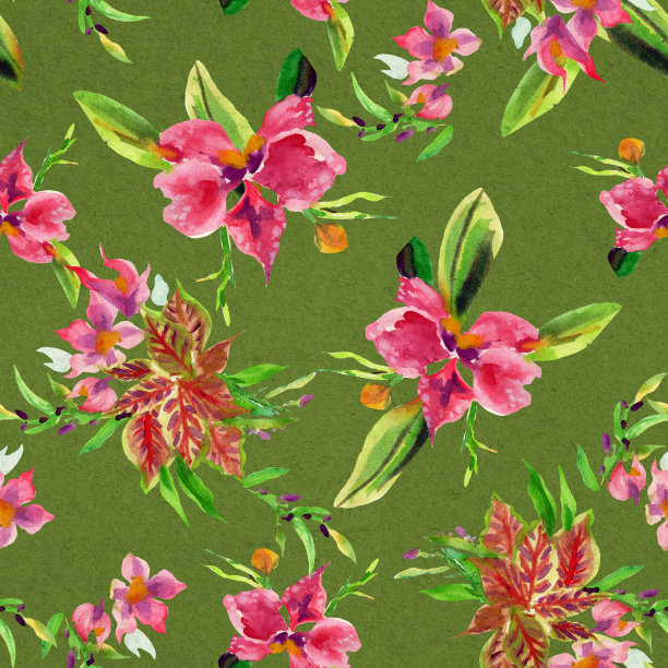 热带花卉图片下载