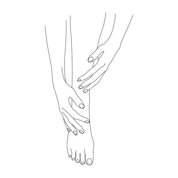 腿部优美部位轮廓，女性美腿，下肢护理健康理念，图片下载