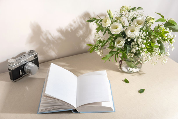 桌子上打开的一本空白的书。为模型打开的空白书的俯视图图片下载