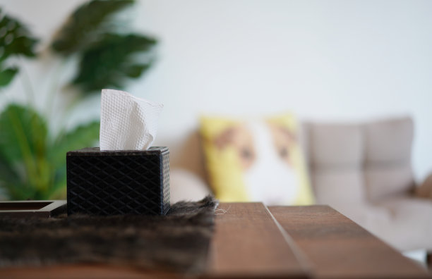 客厅里的纸巾盒图片下载