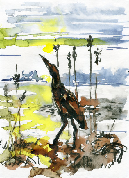 湖岸或河边的卤水。图片下载