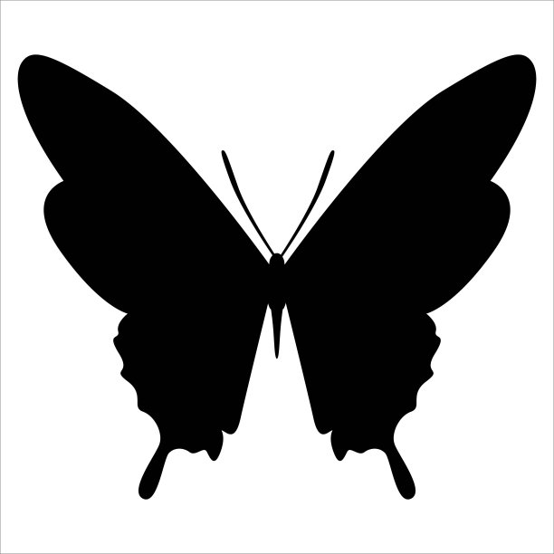 蝴蝶剪影矢量插图。昆虫的一种简单形式。图片下载