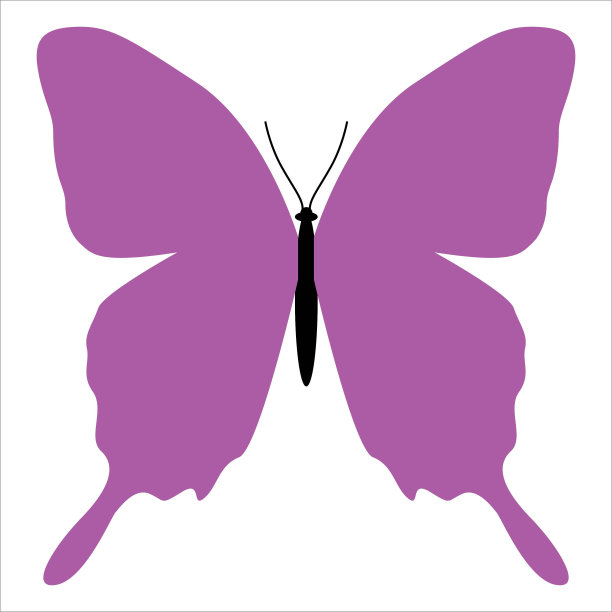 蝴蝶剪影矢量插图。昆虫的一种简单形式。图片下载
