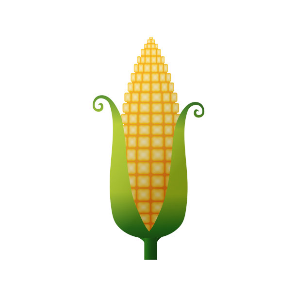 卡通风格的成熟玉米芯图片下载