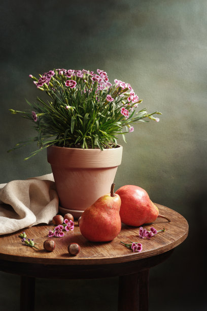 静物与梨在木制圆桌。陶瓷花盆里的小花。忧郁的静物。图片下载