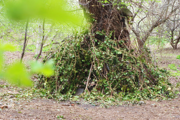 森林里用树枝建造的秘密小屋，供孩子们玩耍图片下载