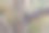 西班牙巴伦西亚泻湖上的旧渔网。图片下载