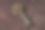 古书上的古董钥匙。带装饰的青铜钥匙。图片下载