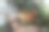 舒适的生态家园，室内温室，环保的室内设计，令人惊叹的城市丛林房间图片下载