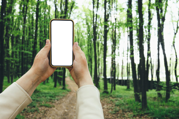 手机与一个孤立的屏幕在手的背景森林，一个地方，你的文本图片下载