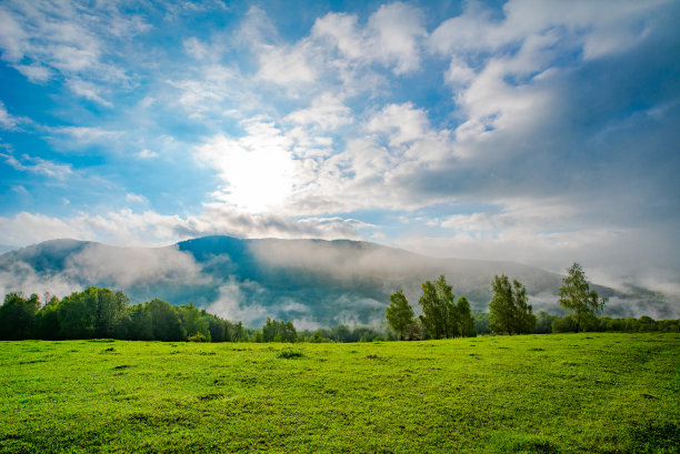 林间空地覆盖着青草，附近的森林和山脉在日出时的雾中。图片下载