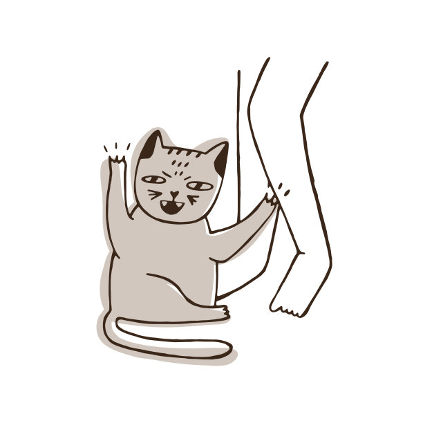 有攻击性的猫抓挠主人的腿图片下载