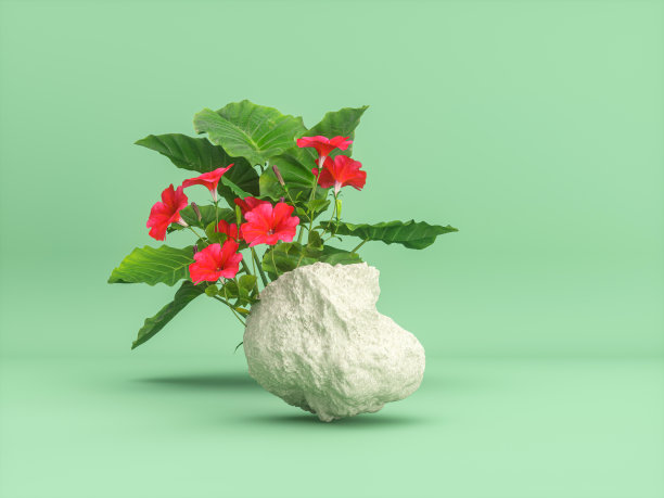 自然美丽的平台背景，产品展示与夏季热带植物。图片下载