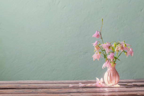 粉色花瓶里的粉色花朵，背景是绿色的墙图片下载