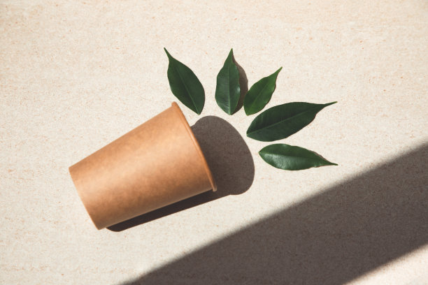 “零浪费”的概念。纸玻璃在石头米色的背景与绿叶图片下载