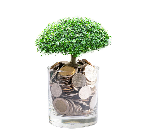 树苗叶子上的存钱硬币，商业金融储蓄银行的投资理念。图片下载