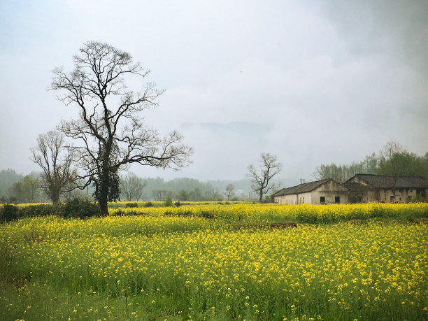 皖南古村落图片下载
